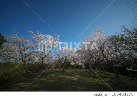 《岡山県》瀬戸内海国立公園 夕立受山で見る春の風景 《岡山県》瀬戸内海国立公園 夕立受山で見る春の風景 103403876