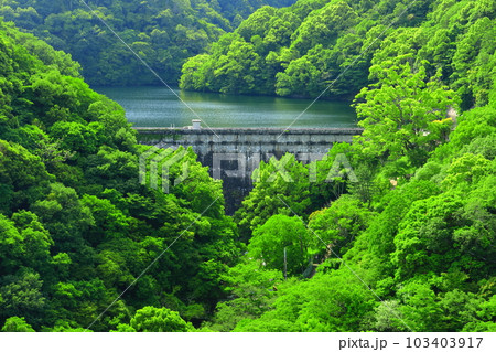 【兵庫県】神戸布引ロープウェイから見た布引ダム（布引五本松堰堤） 103403917