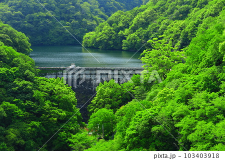 【兵庫県】神戸布引ロープウェイから見た布引ダム（布引五本松堰堤） 103403918