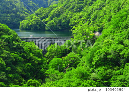 【兵庫県】神戸布引ロープウェイから見た布引ダム（布引五本松堰堤） 103403994