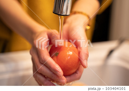 料理に使うトマトを洗う風景 103404101
