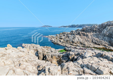 福井県坂井市　柱状節理による絶景が見られる人気の観光地　晴天の東尋坊 103404261