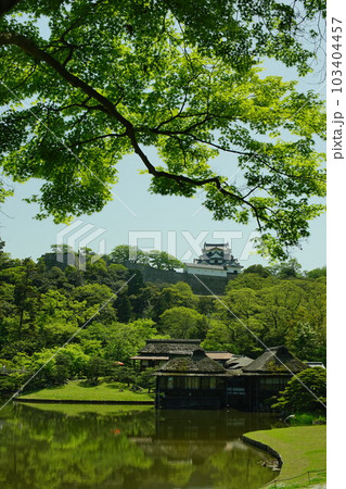 初夏の彦根城 玄宮園 (2022年4月) 初夏の彦根城 玄宮園 (2022年4月) 103404457