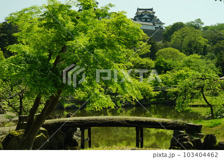 初夏の彦根城 玄宮園  (2022年4月） 103404462