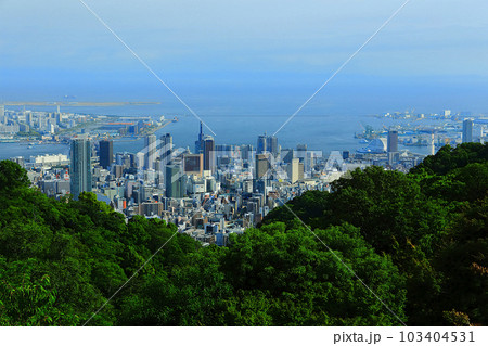【兵庫県】神戸布引ハーブ園から見た神戸市街(三宮) 【兵庫県】神戸布引ハーブ園から見た神戸市街(三宮) 103404531