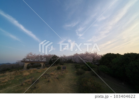 《岡山県》瀬戸内海国立公園 夕立受山で見る春の風景 103404622