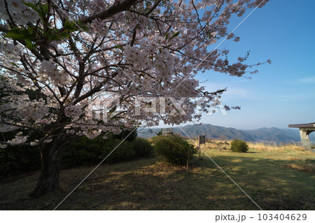 《岡山県》瀬戸内海国立公園 夕立受山で見る春の風景 《岡山県》瀬戸内海国立公園 夕立受山で見る春の風景 103404629