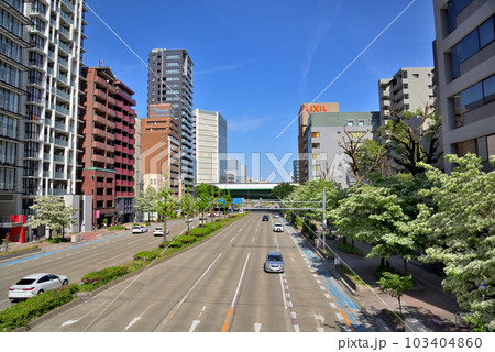 《愛知県》名古屋都市景観 名古屋市桜通のヒトツバタゴ並木 《愛知県》名古屋都市景観 名古屋市桜通のヒトツバタゴ並木 103404860