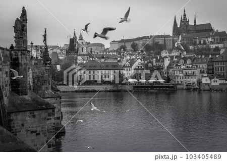 Charles bridge at dramatic evening with doves, Medieval Prague, Czech Republic 103405489
