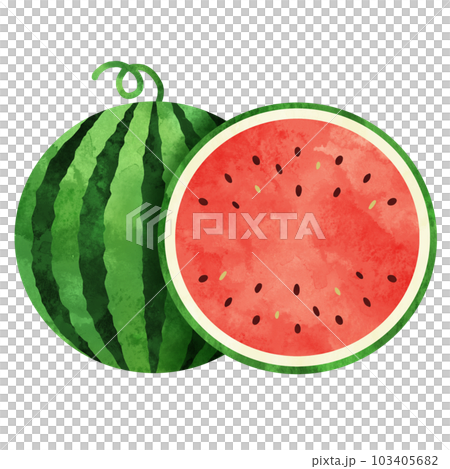 Watercolor illustration of large ball and watermelon cut in half Watercolor illustration of large ball and watermelon cut in half 103405682