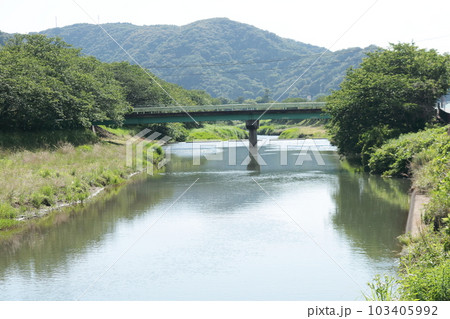 午後の陽射しに輝く静かな川辺の風景伊豆松崎町 午後の陽射しに輝く静かな川辺の風景伊豆松崎町 103405992