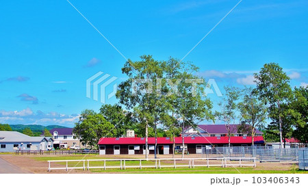 北海道の馬と自然のテーマパーク「ノーザンホースパーク」の風景 103406343