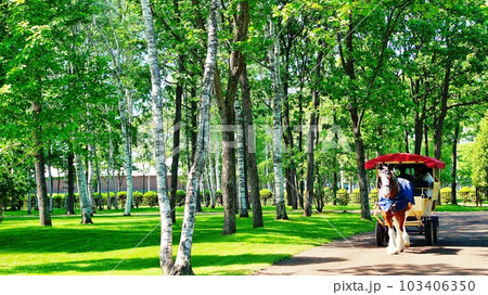 北海道の馬と自然のテーマパーク「ノーザンホースパーク」の風景 北海道の馬と自然のテーマパーク「ノーザンホースパーク」の風景 103406350