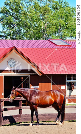北海道の馬と自然のテーマパーク「ノーザンホースパーク」の風景 103406354
