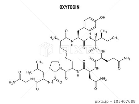 Oxytocin molecular structure. Oxytocin, the hormone of love, produced in the hypothalamus. Important role in reproduction, childbirth and social bonding. Vector structural formula of chemical compound Oxytocin molecular structure. Oxytocin, the hormone of love, produced in the hypothalamus. Important role in reproduction, childbirth and social bonding. Vector structural formula of chemical compound 103407689