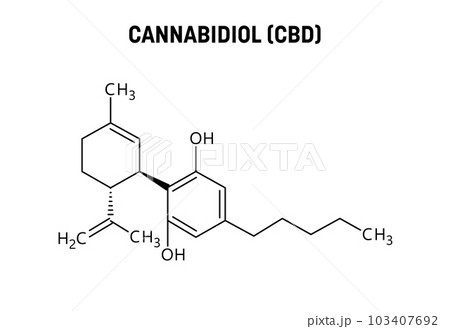 Cannabidiol, or CBD, molecular structure. Cannabidiol is a phytocannabinoid extracted from cannabis. Vector structural formula of chemical compound. 103407692