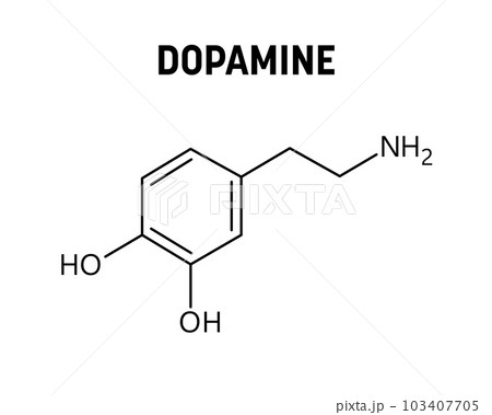 Dopamine molecular structure. Dopamine is neurotransmitter with important role in human body. Vector structural formula of chemical compound. 103407705