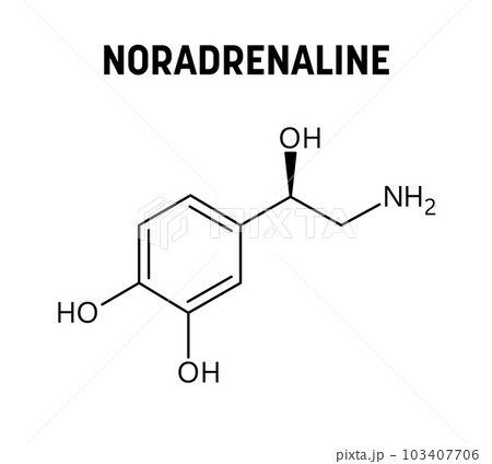 Noradrenaline molecular structure. Noradrenaline, or Norepinephrine, is neurotransmitter and hormone in human body. Vector structural formula of chemical compound. 103407706