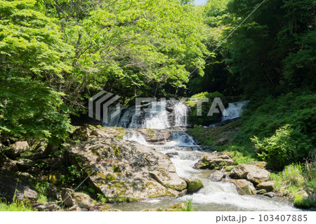 新緑の江竜田の滝 103407885