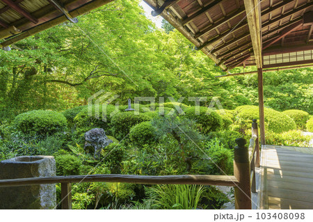 京都 新緑の詩仙堂 額縁庭園 京都 新緑の詩仙堂 額縁庭園 103408098