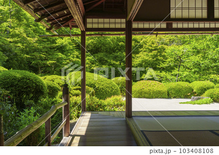 京都 新緑の詩仙堂 額縁庭園 京都 新緑の詩仙堂 額縁庭園 103408108