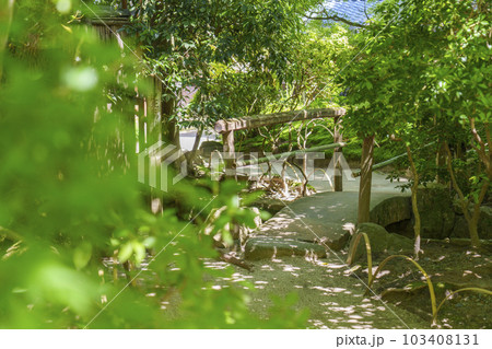 京都 新緑の詩仙堂 百花塢の庭園 京都 新緑の詩仙堂 百花塢の庭園 103408131