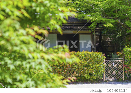 京都 新緑の詩仙堂 残月軒と庭園 京都 新緑の詩仙堂 残月軒と庭園 103408134