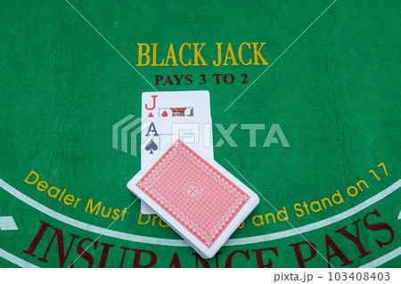 2025年大阪関西万国博覧会。いのち輝く未来社会のデザインとカジノなどの統合型リゾート 2025年大阪関西万国博覧会。いのち輝く未来社会のデザインとカジノなどの統合型リゾート 103408403