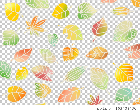 Background of fallen leaves White background ⑥ 103408436