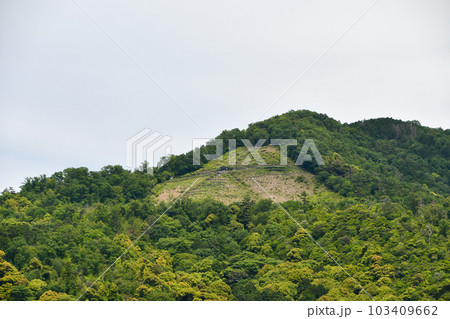 京都 大文字山 103409662