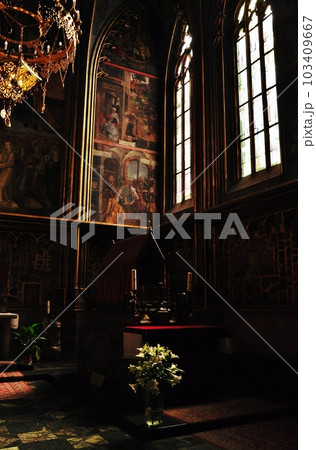 聖ヴィート大聖堂の内観 103409667