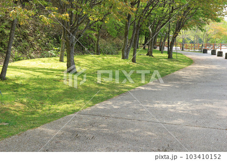 湖畔の遊歩道 湖畔の遊歩道 103410152