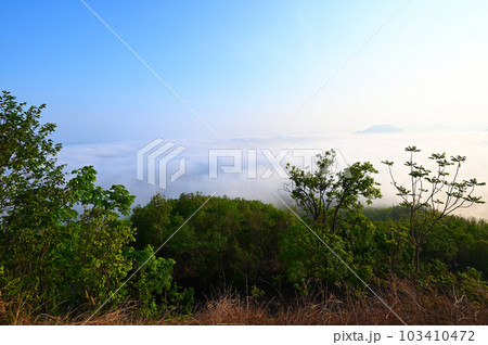 sunrise mist cover mountain background winter foggy view at beautiful misty spring mountain valley and mountains in mist on background, landscape forest in the morning beautiful 103410472
