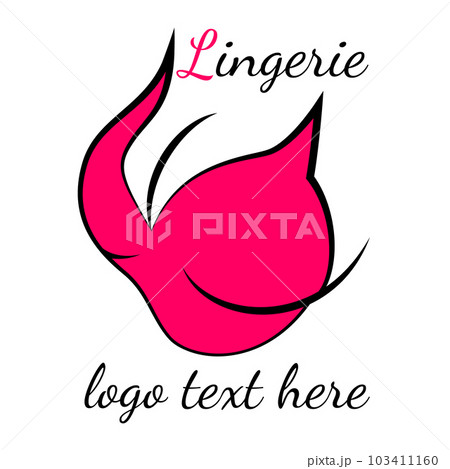 Lingerie Logo, Lingerie Boutique Branding, Fashion Blog Logo, Vintage  Underwear Logo Package, Rustic Bra Logo Corset Logo, Pink Feminine 226 