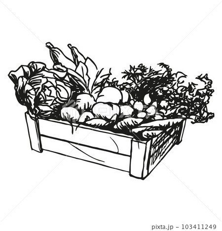vegetable box - wooden box with vegetables, black and white illustration 103411249