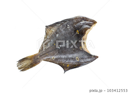 Raw flounder. Isolated on white background. 103412553