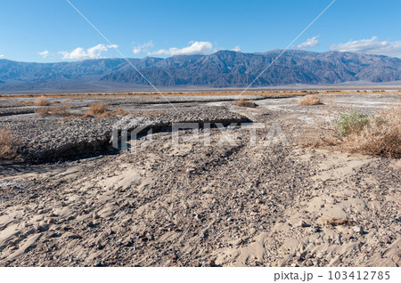 Death Valley National Park landscape 103412785