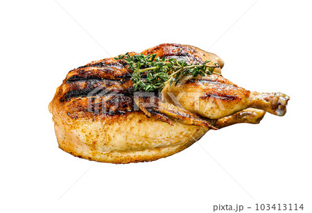 Grilled whole organic chicken with thyme. Isolated on white background. 103413114
