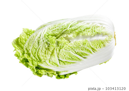 White Chinese cabbage. Organic vegetables. Isolated on white background. 103413120