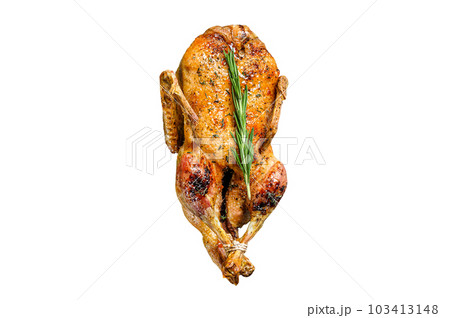 Roast duck stuffed with baked apples, festive christmas recipe. Isolated on white background. 103413148