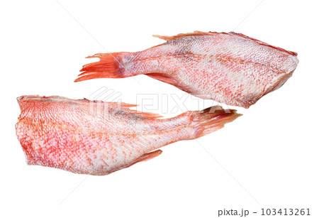 Raw Red perch or seabass fish. Isolated on white background. 103413261