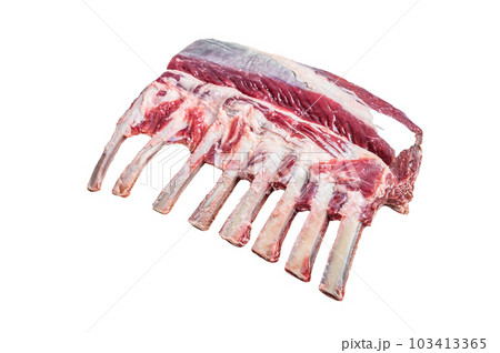 Raw fresh rack of lamb meat. Isolated on white background. Raw fresh rack of lamb meat. Isolated on white background. 103413365