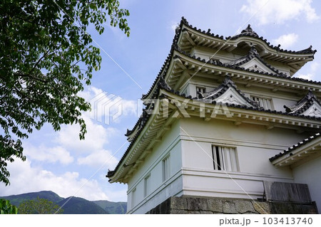 （現存天守）宇和島城 103413740