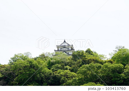 (現存天守)宇和島城 (現存天守)宇和島城 103413760