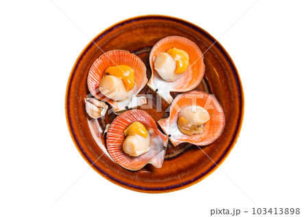 Shellfish raw Scallops on a rustic plate with thyme. Isolated on white background. Shellfish raw Scallops on a rustic plate with thyme. Isolated on white background. 103413898