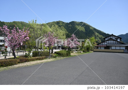 越前和紙の里　春　越前市 103414197