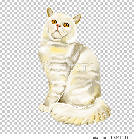 cat watercolor cat watercolor 103414330