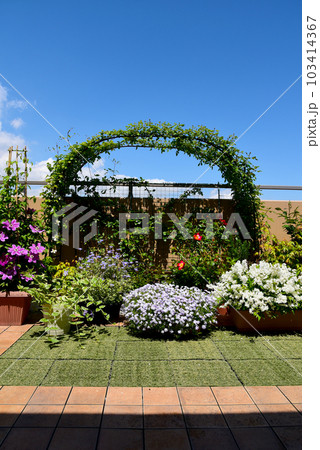 広いルーフバルコニー　春のガーデニング　青空と植物と過ごす時間 103414367