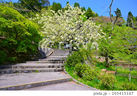 花筐公園 越前市 花筐公園 越前市 103415187