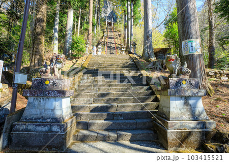 春の中之嶽神社 群馬県甘楽郡 春の中之嶽神社 群馬県甘楽郡 103415521